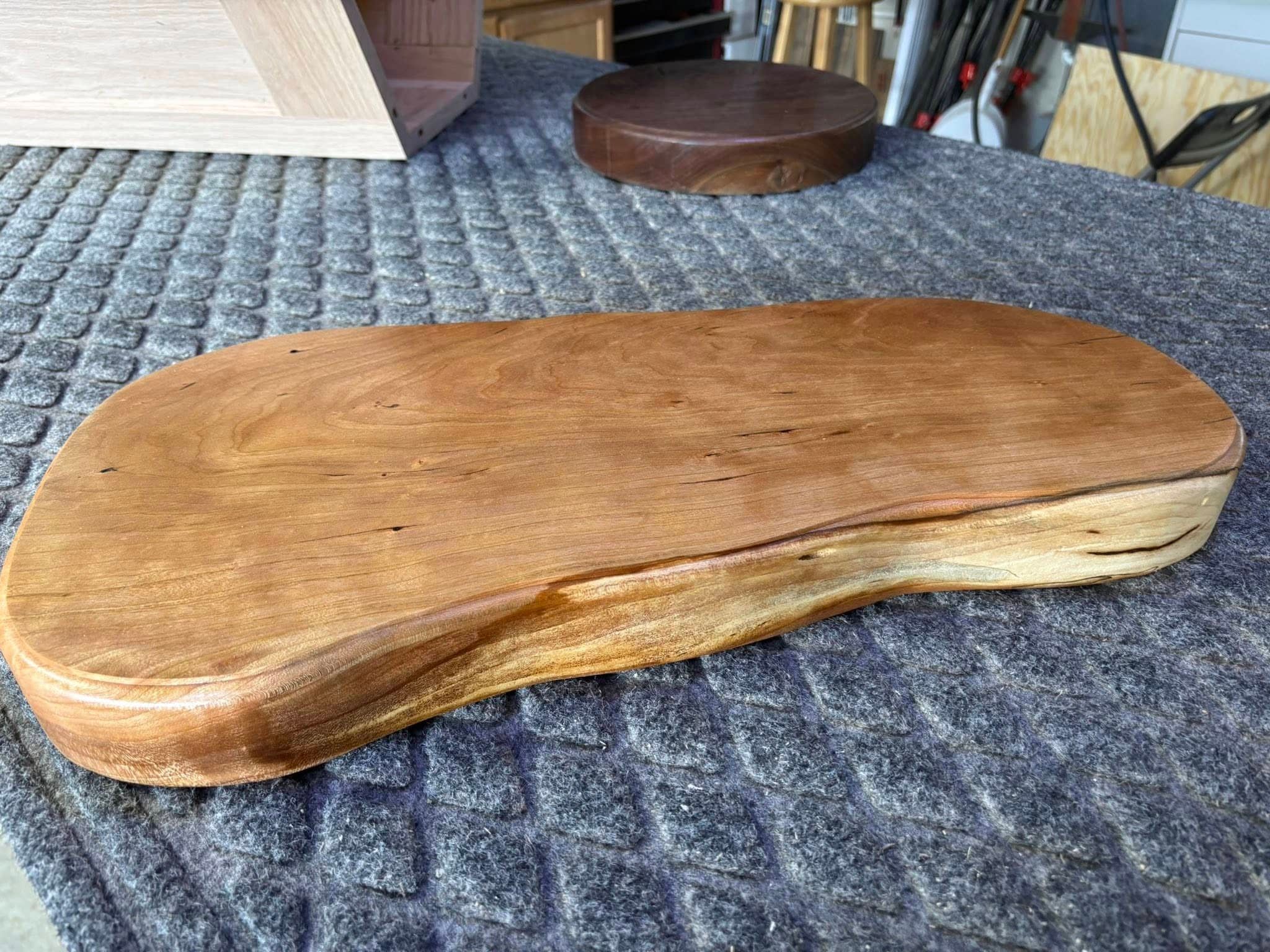 Custom taxidermy display