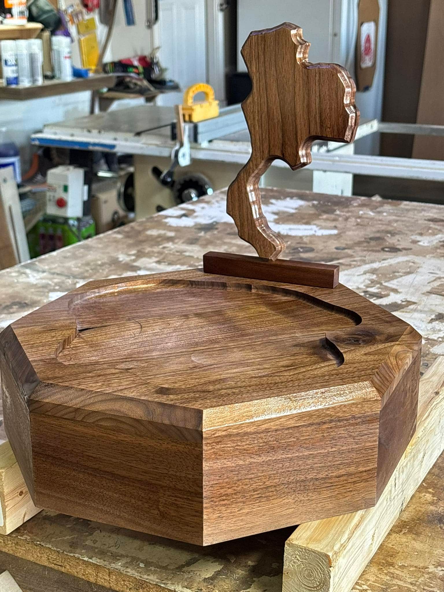 Custom taxidermy display