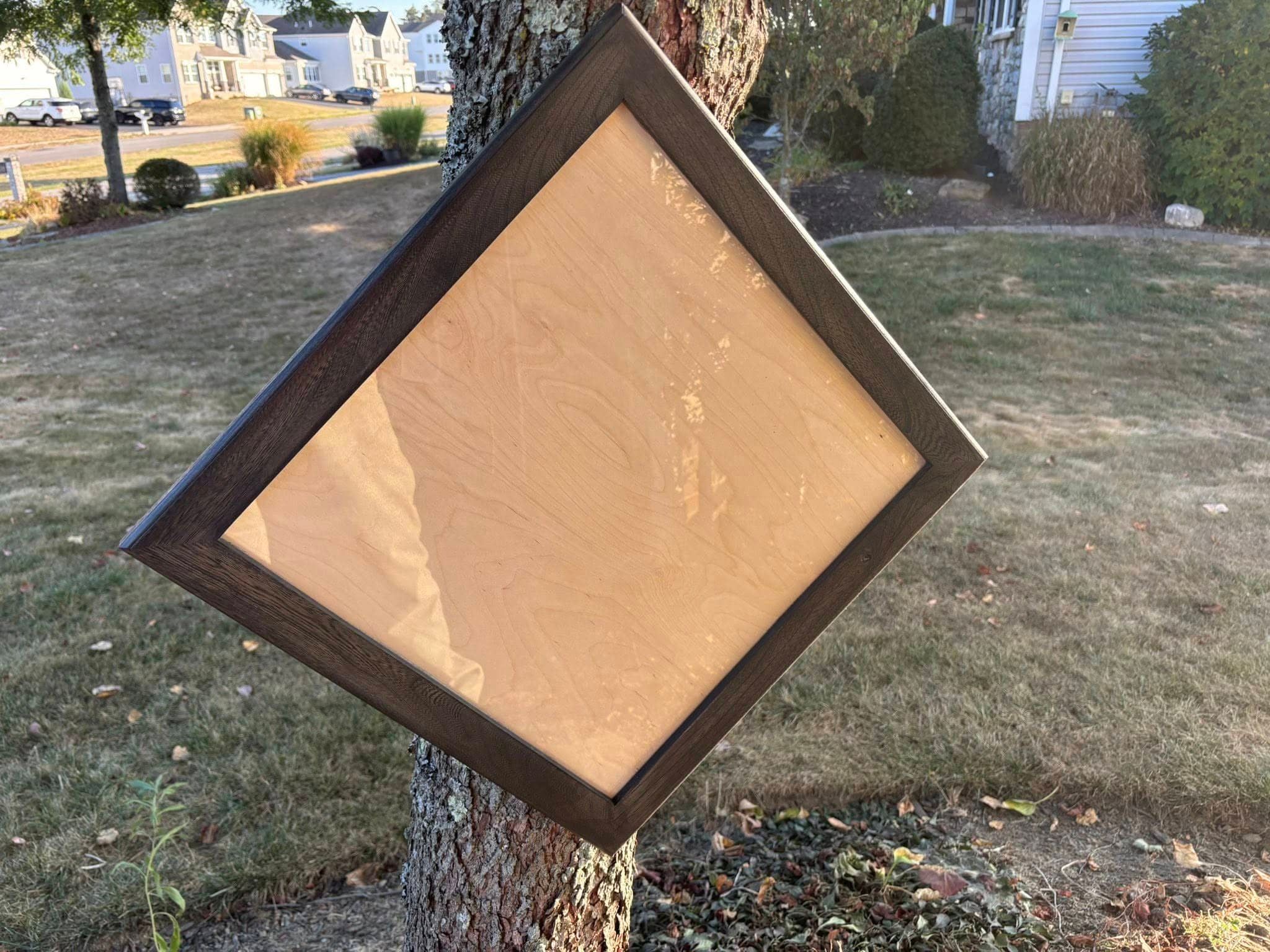 Custom taxidermy display