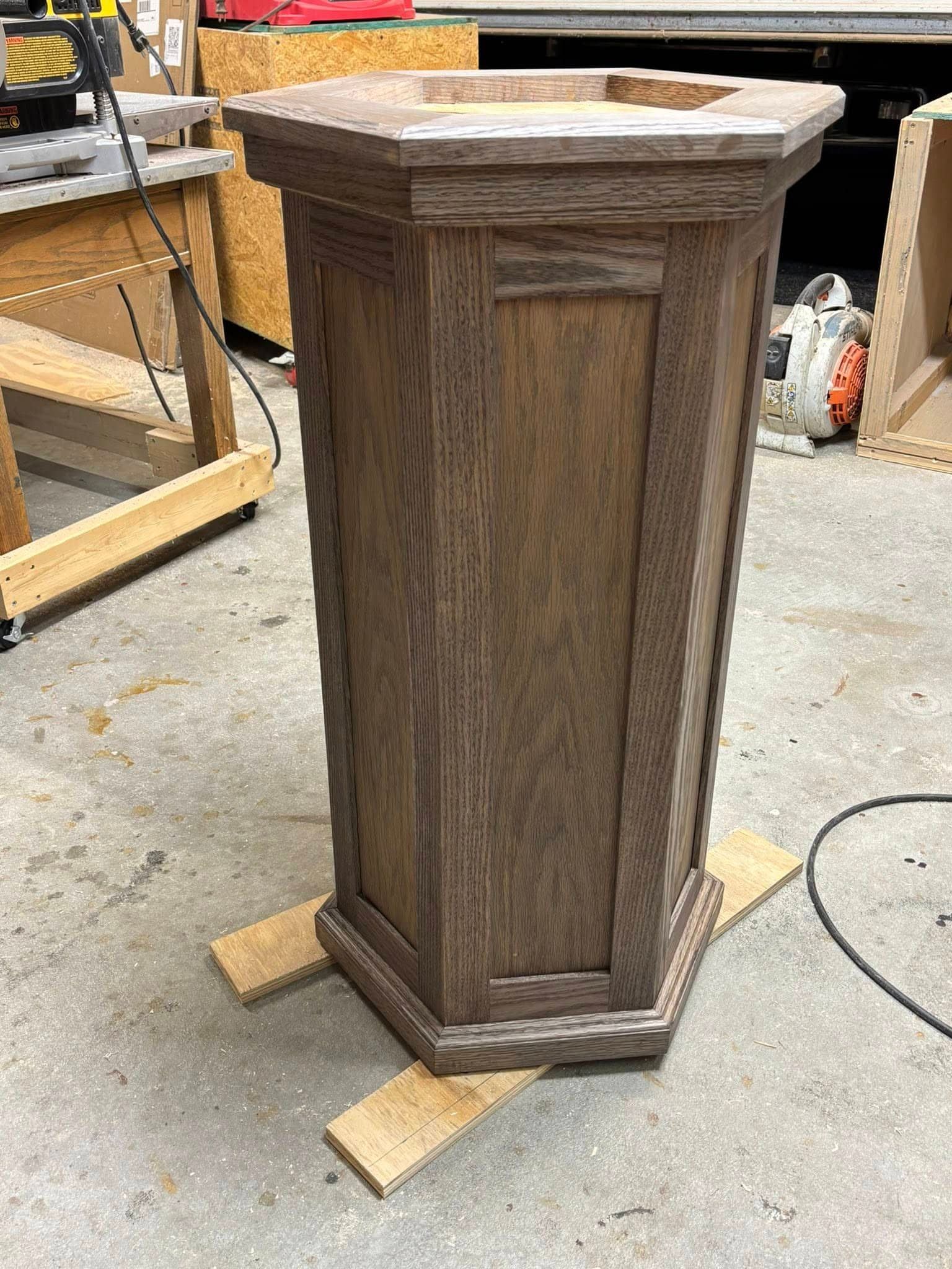 Custom taxidermy display