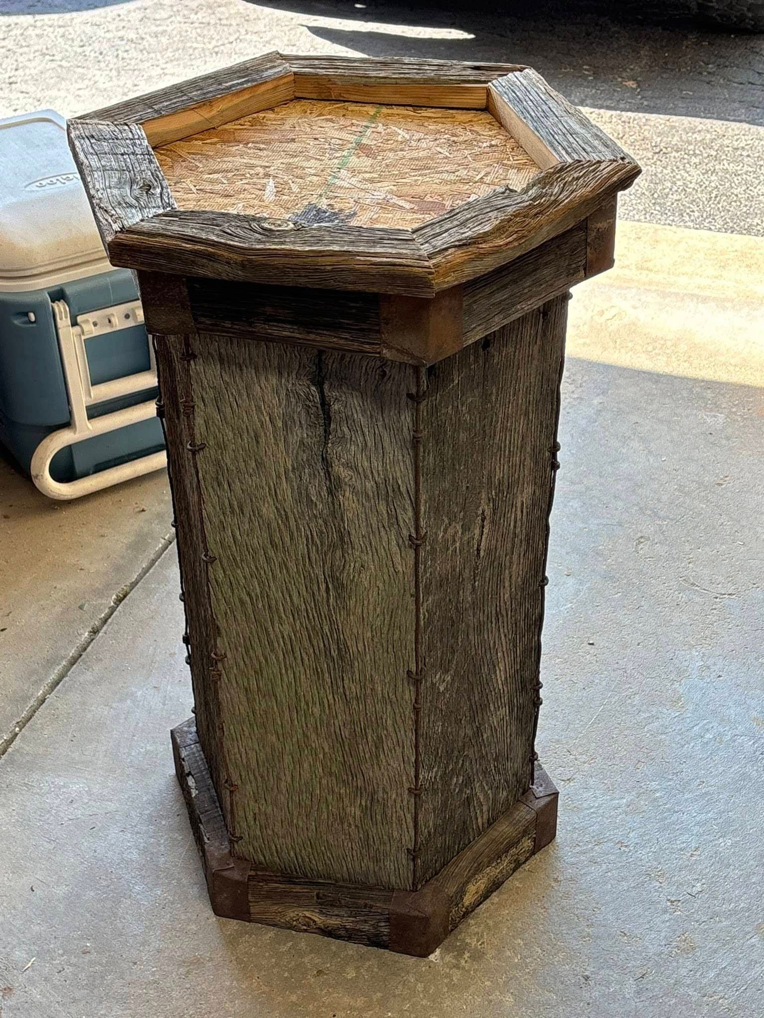 Custom taxidermy display