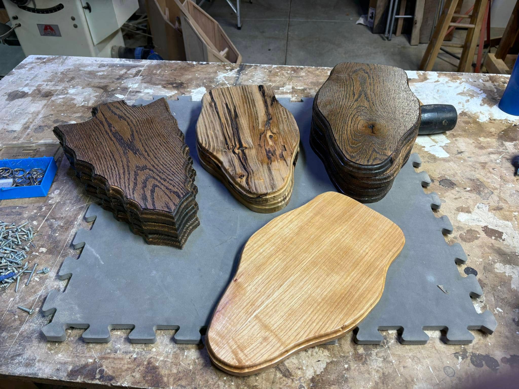 Custom taxidermy display