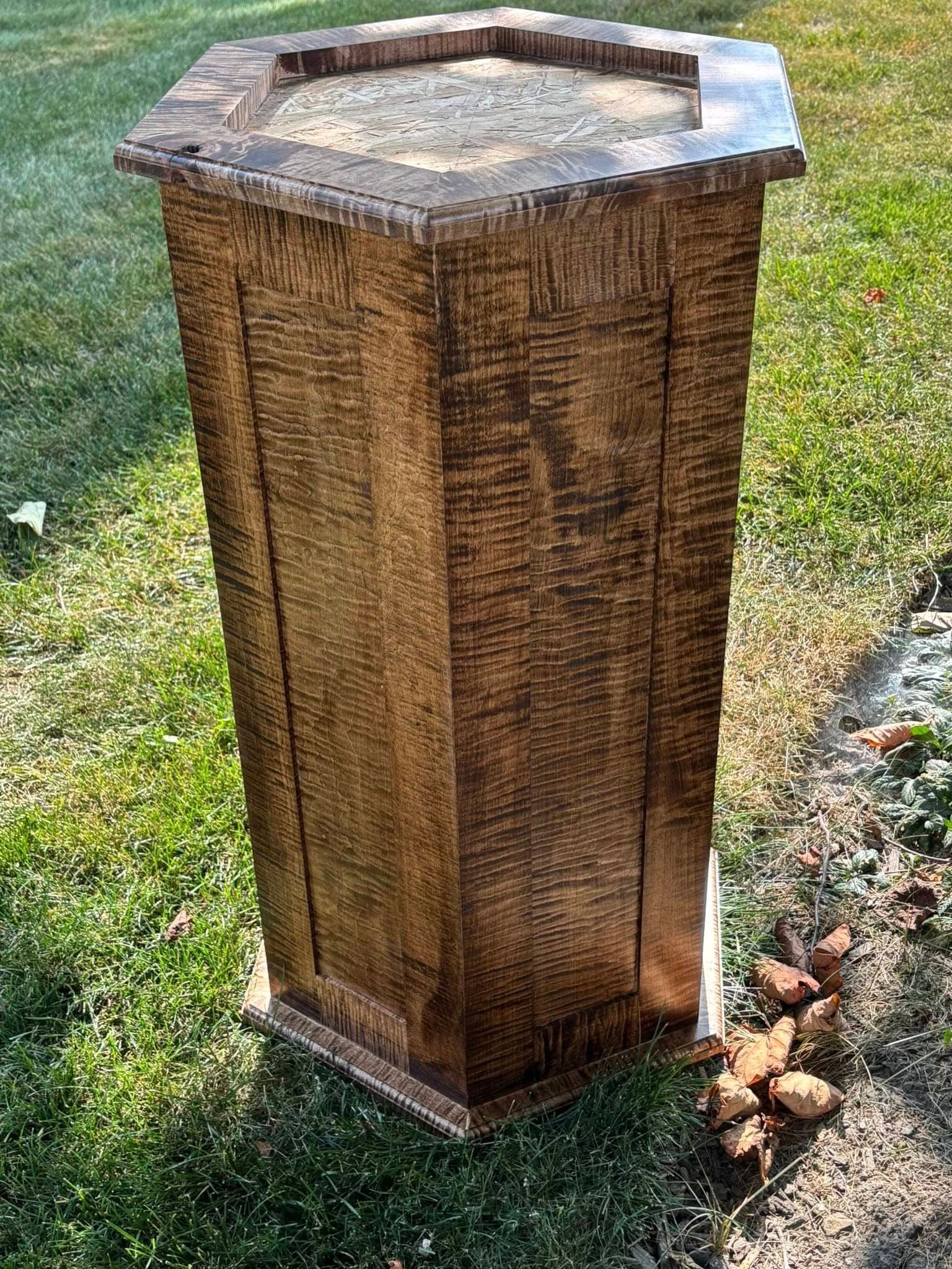 Custom taxidermy display