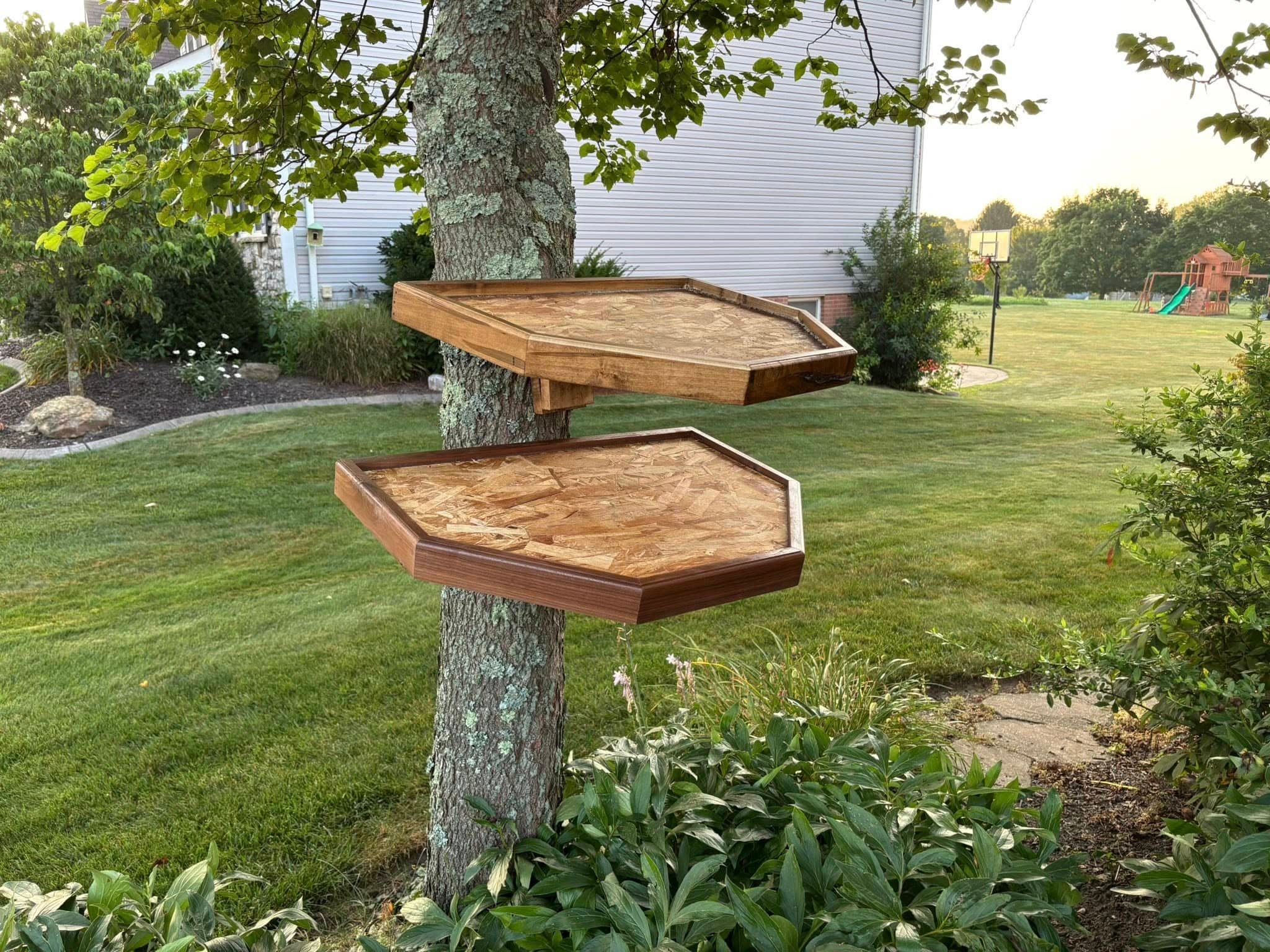 Custom taxidermy display