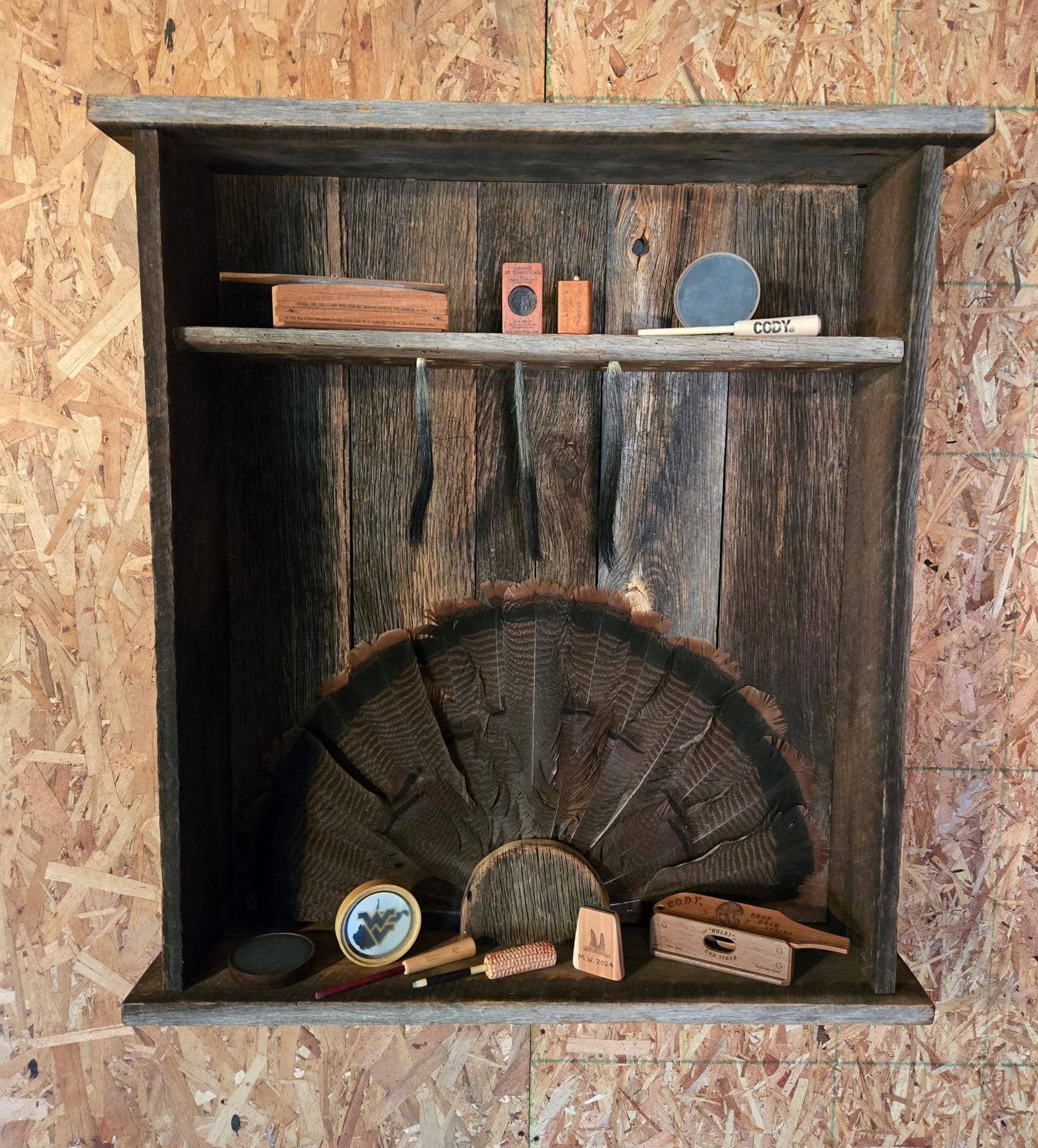 Custom taxidermy display