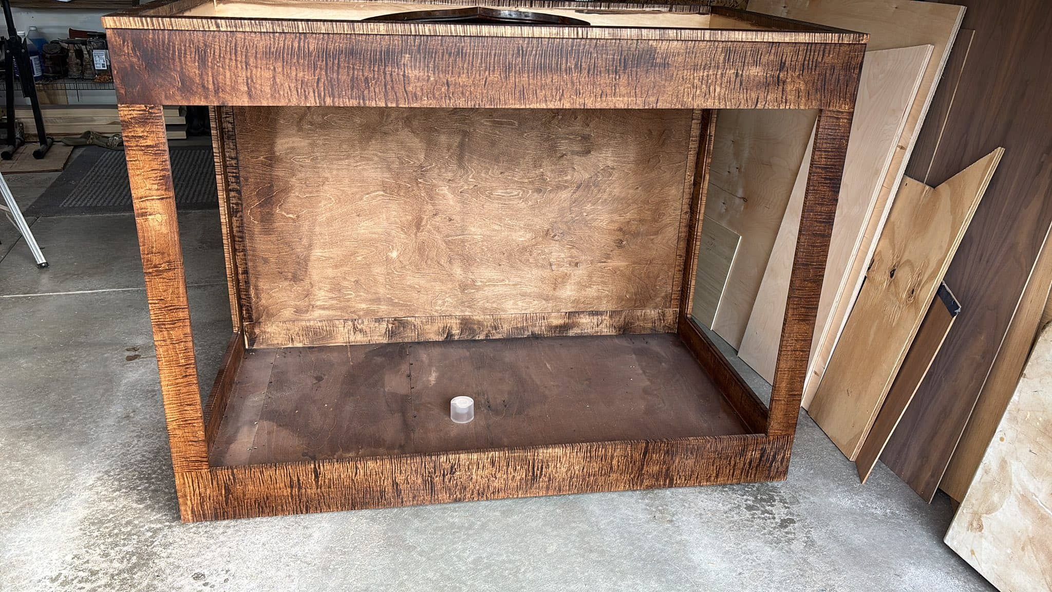 Custom taxidermy display