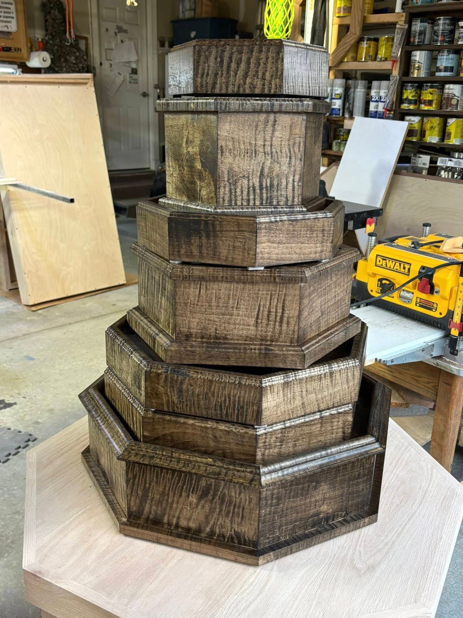 Custom taxidermy display