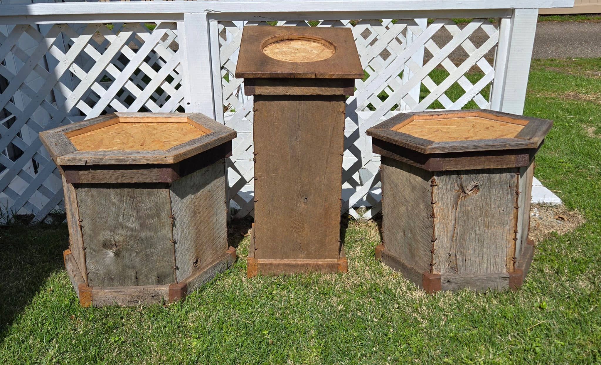 Custom taxidermy display