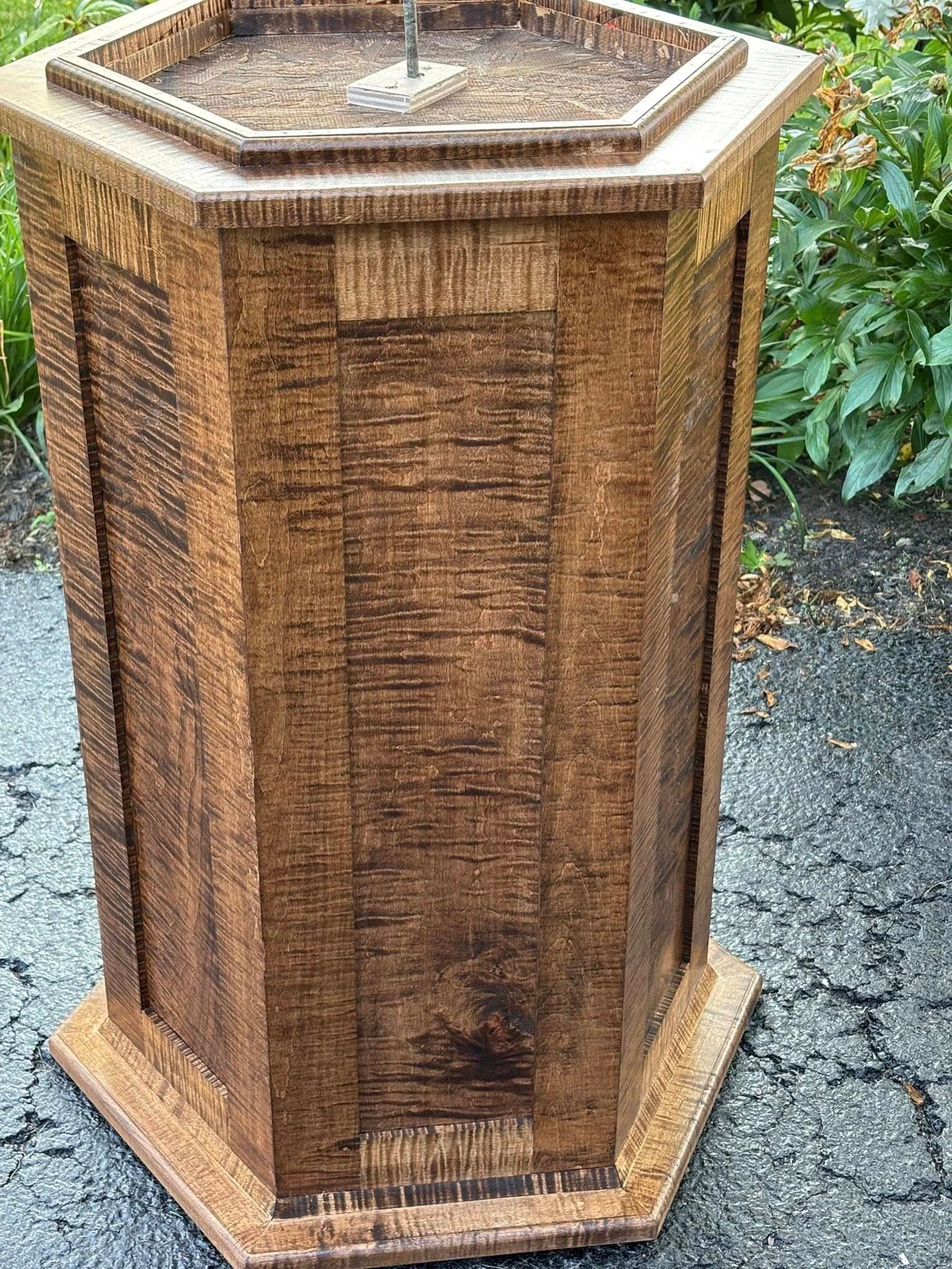 Custom taxidermy display