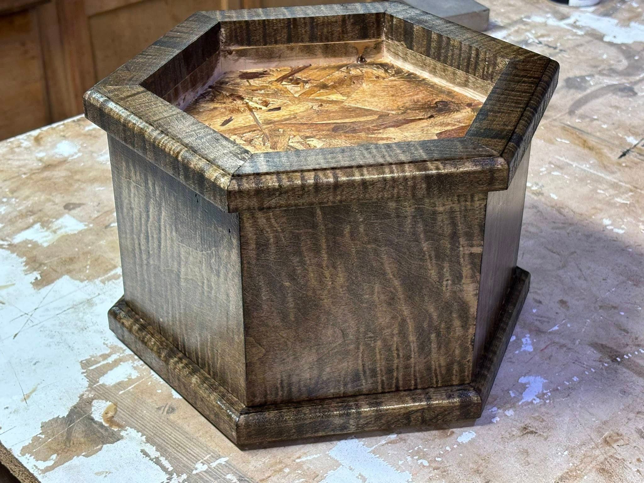 Custom taxidermy display