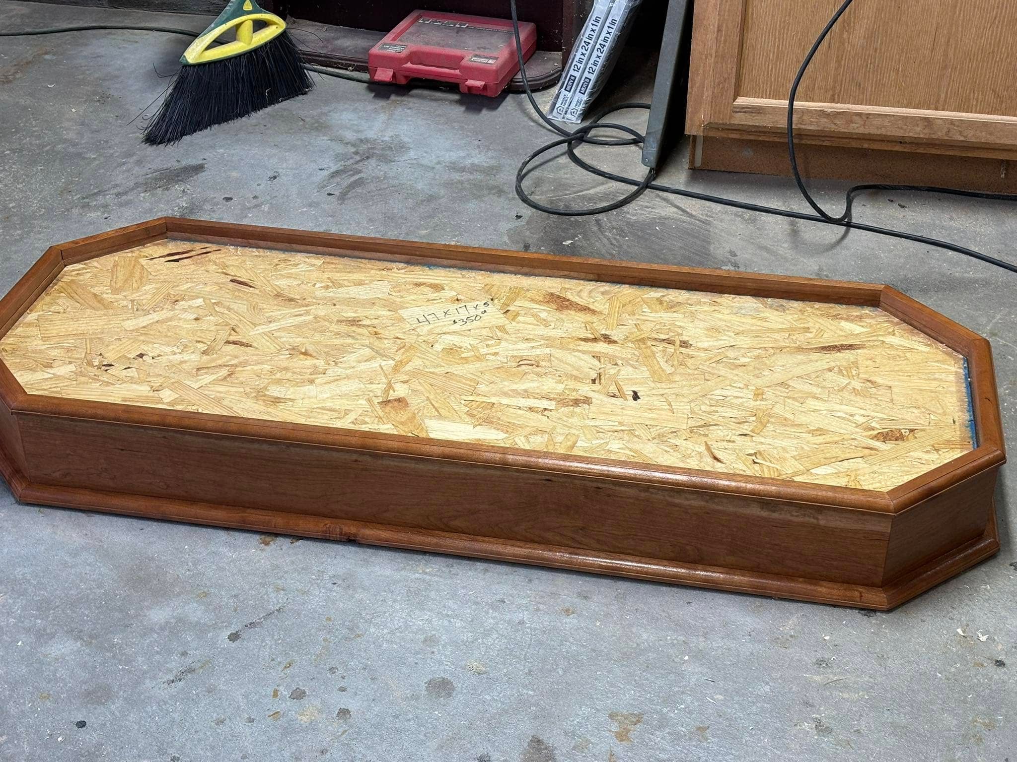 Custom taxidermy display