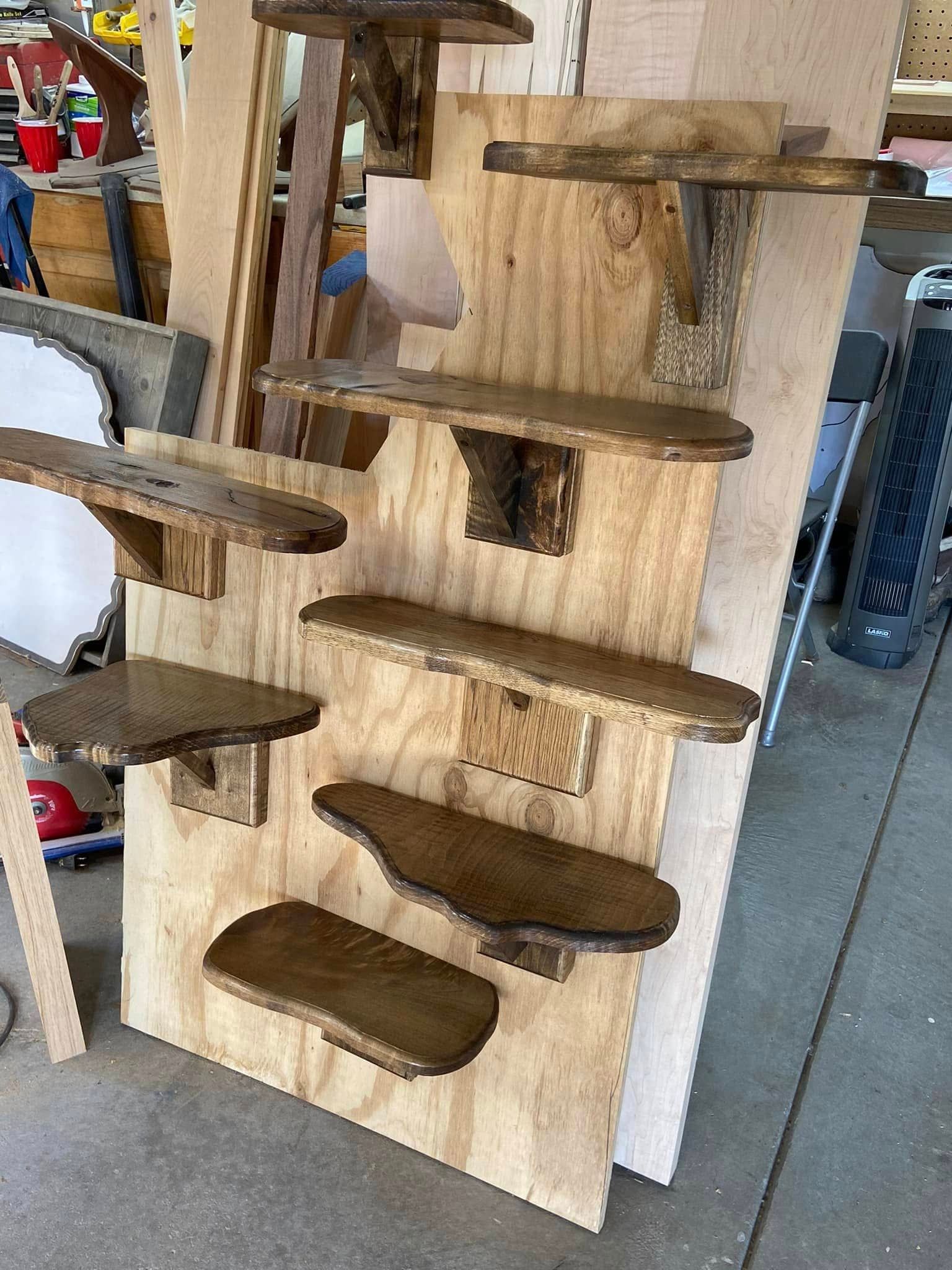 Custom taxidermy display