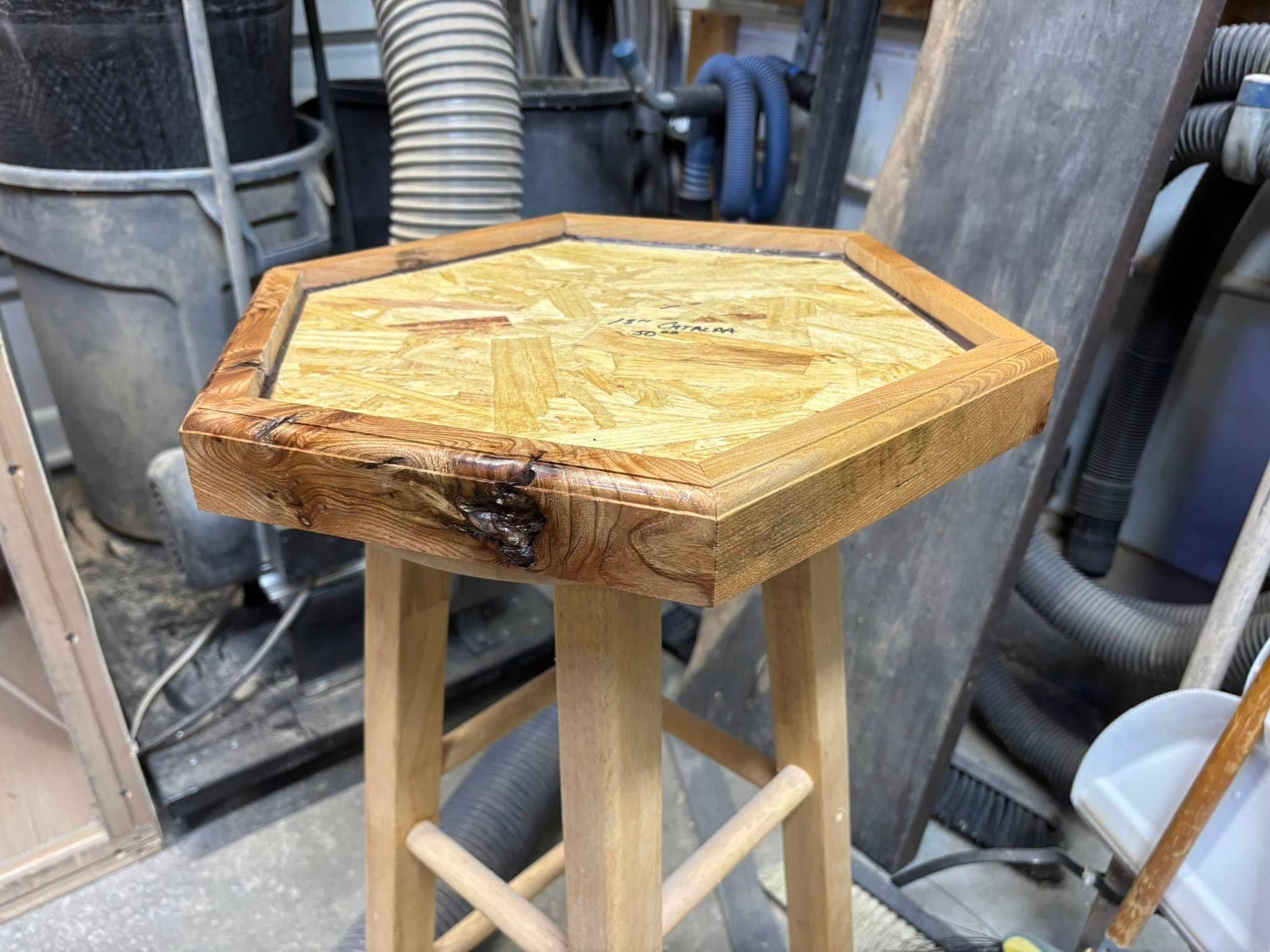 Custom taxidermy display